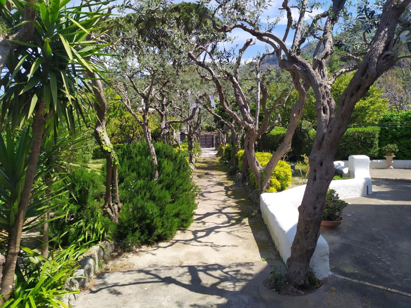 Villa Ravino Secret Retreat Forio  Luaran gambar